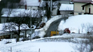 zimska služba